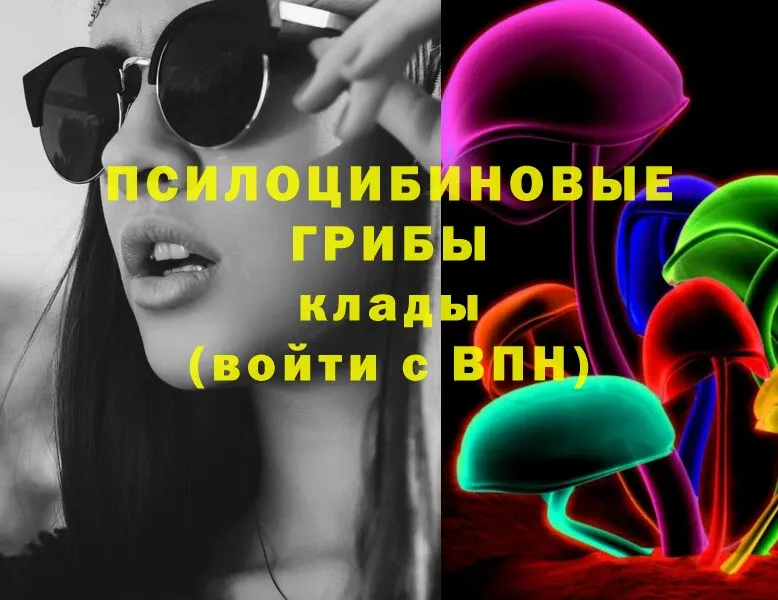 Псилоцибиновые грибы MAGIC MUSHROOMS  Клинцы 